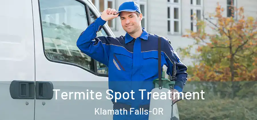 Termite Spot Treatment Klamath Falls-OR