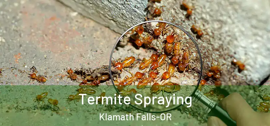  Termite Spraying Klamath Falls-OR