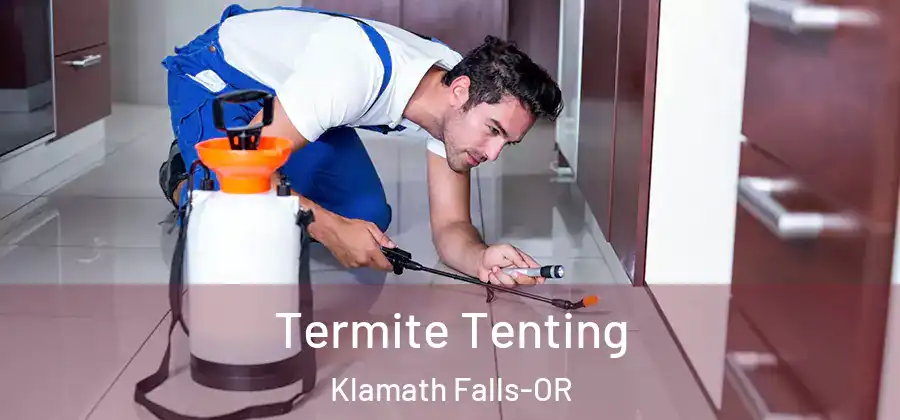  Termite Tenting Klamath Falls-OR