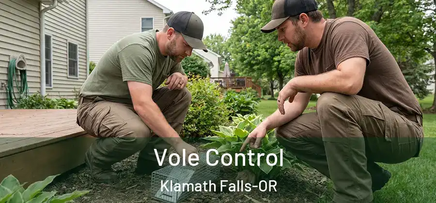  Vole Control Klamath Falls-OR