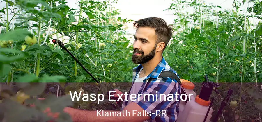  Wasp Exterminator Klamath Falls-OR