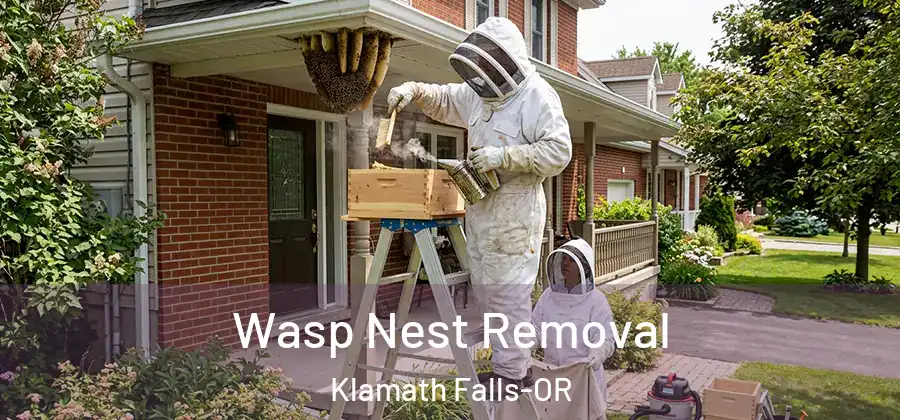 Wasp Nest Removal Klamath Falls-OR