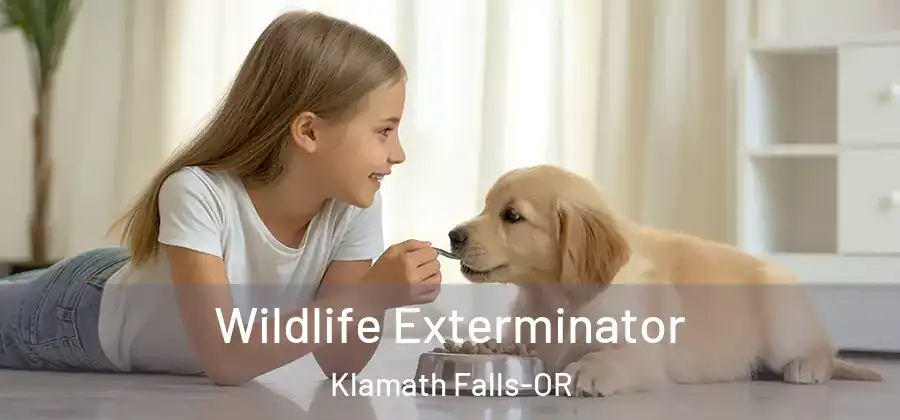 Wildlife Exterminator Klamath Falls-OR