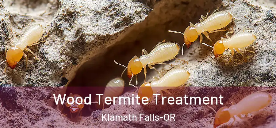  Wood Termite Treatment Klamath Falls-OR