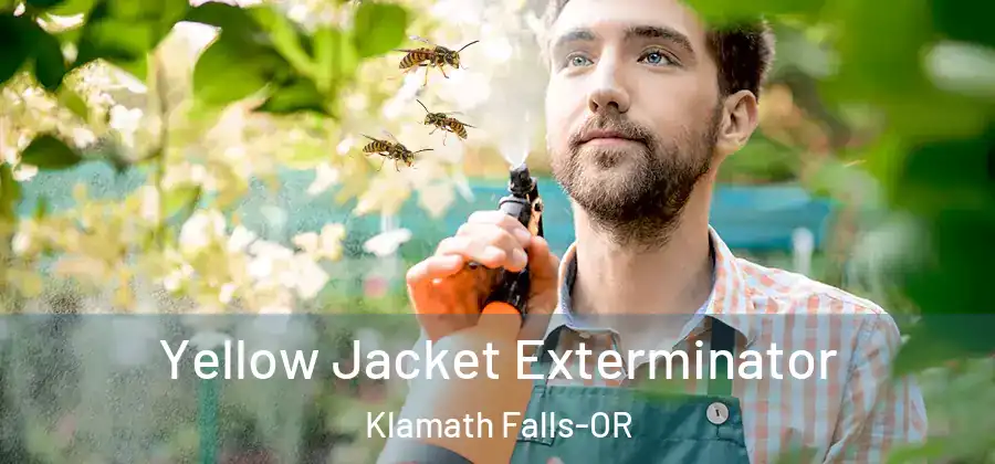 Yellow Jacket Exterminator Klamath Falls-OR